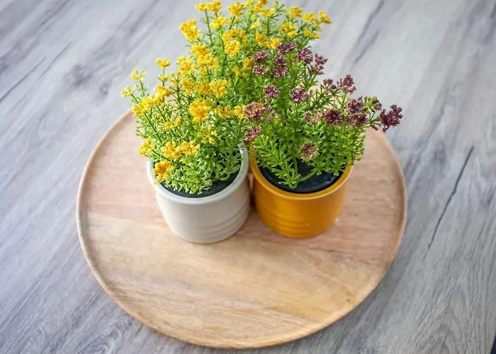 μike's Corner * Chania (Crete)