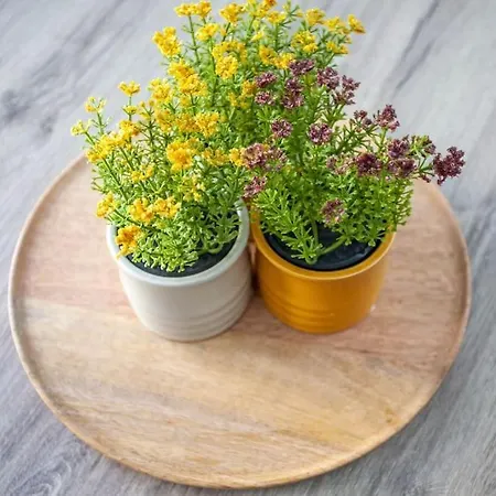 μike's Corner * Hriszí Aktí Haniá